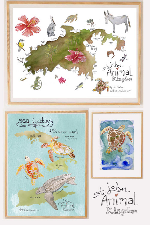 Animal Kingdom of St. John Poster Watercolor Art Print