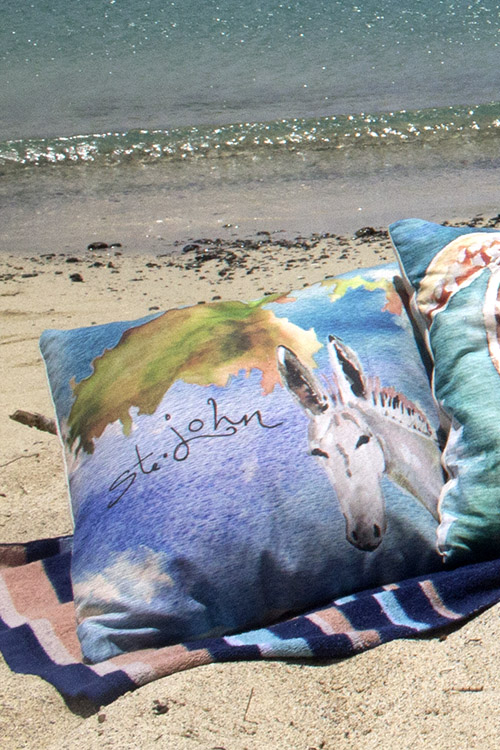 Donkey with STJ Map Outdoor Throw Pillow