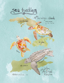 Sea Turtle Map Poster Wall Art Print