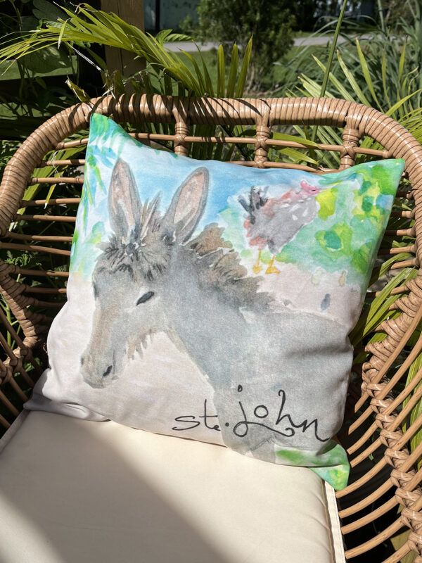 Baby Donkey St. John Throw Pillow Cover