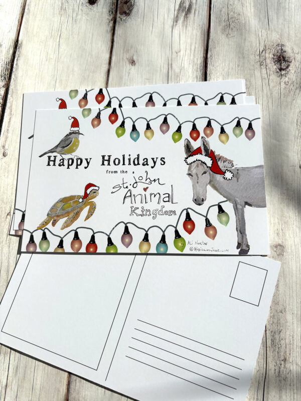 Animal Kingdom of St. John Postcard Holiday Greetings