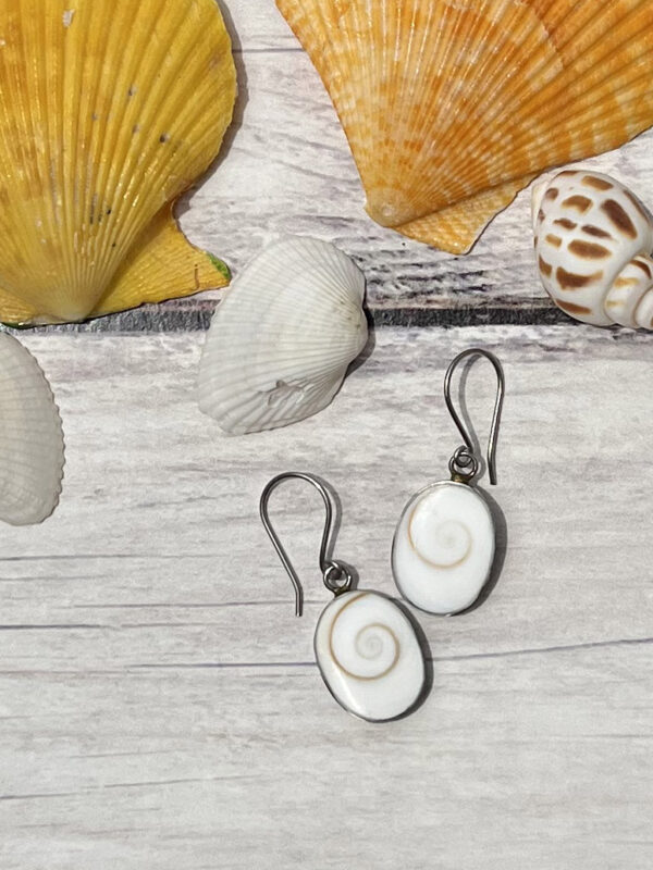 Shiva Eye Shell and Silver Earrings