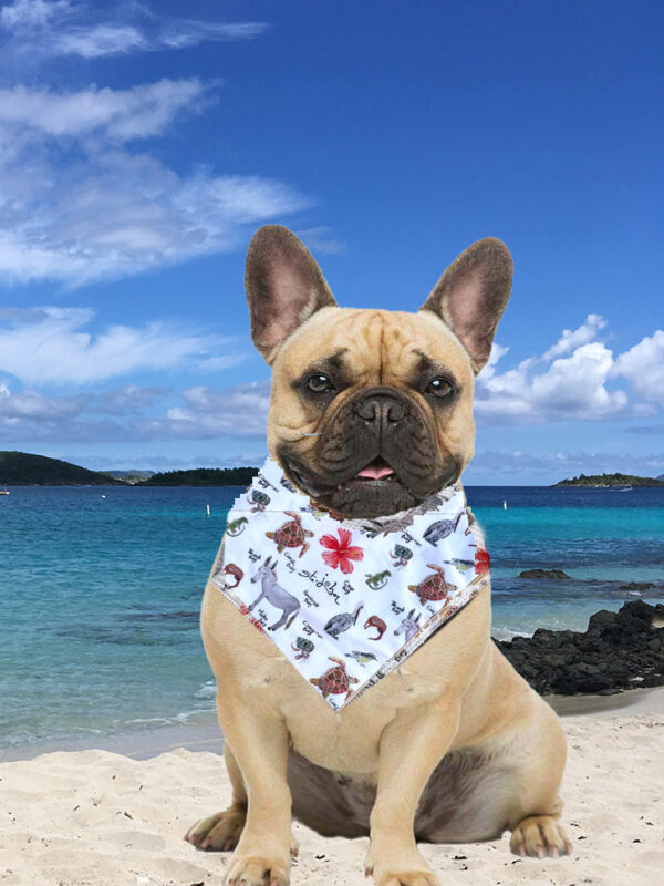 Dog Collar Bandanas St. John Designs