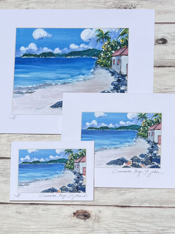 Cinnamon Bay Beach St. John Art Print