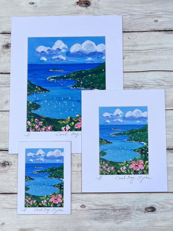 Coral Bay St. John Art Print