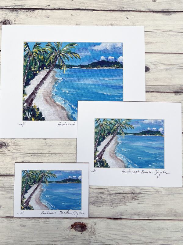 Hawksnest Beach St. John Art Print