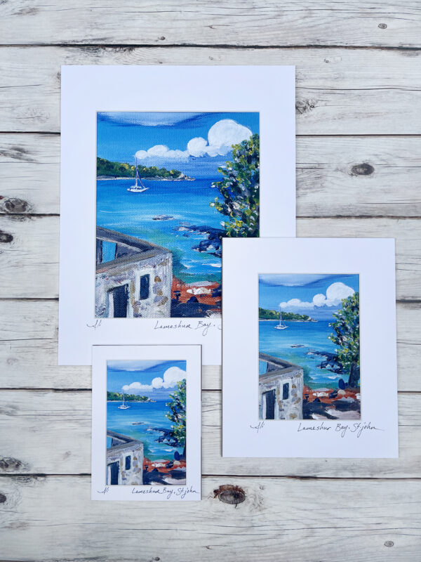 Lameshur Bay Beach St. John Art Print