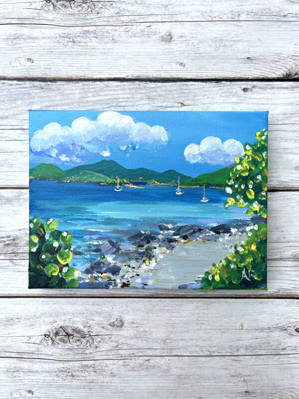 Leinster Bay St John USVI Original Painting