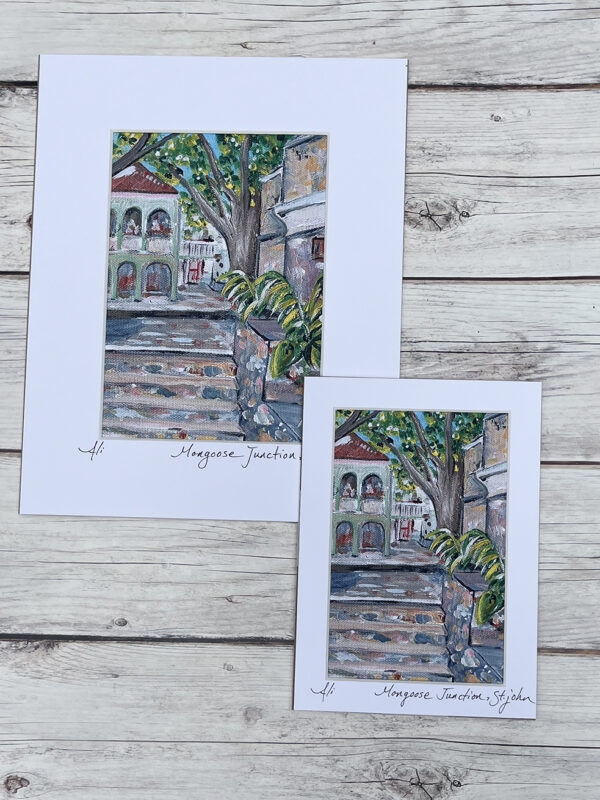 Mongoose Junction Shopping St. John Art Print