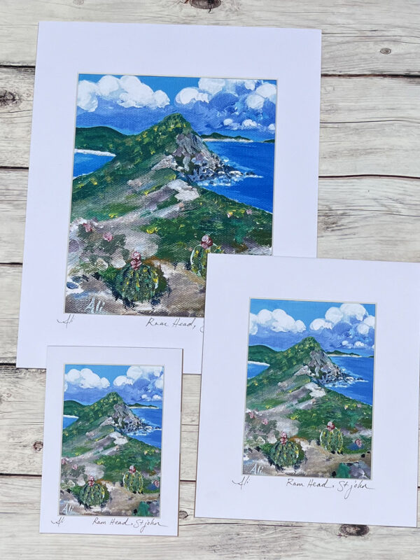 Ram Head St. John Hiking Trail Art Print