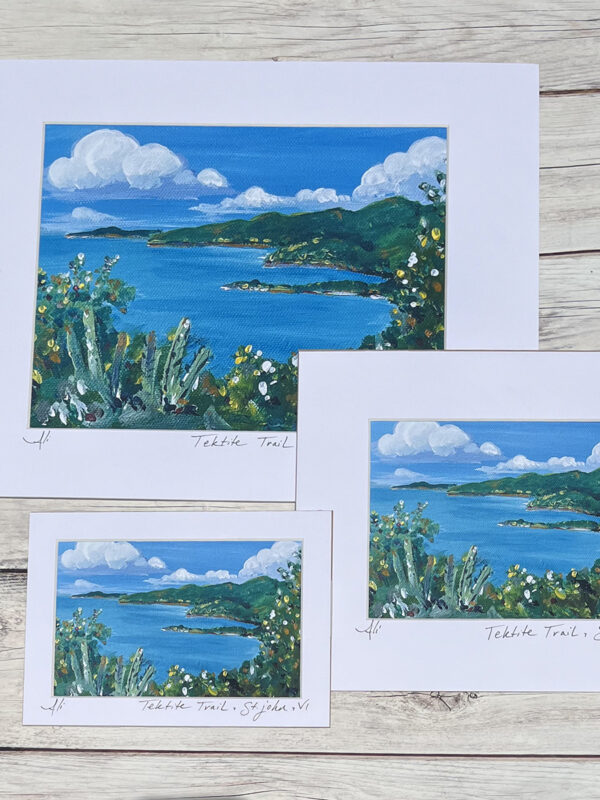 Tektite St. John Hiking Trail Art Print