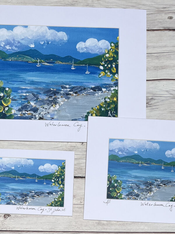 Waterlemon Cay Snorkel Spot Art Print