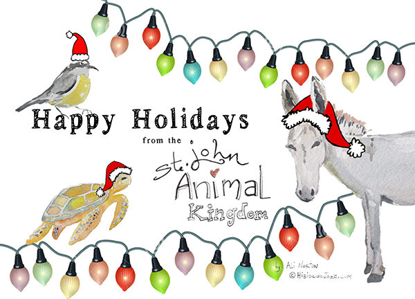 FREE DOWNLOAD St. John Holiday Greetings