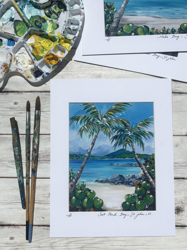 Salt Pond Bay St. John Art Print