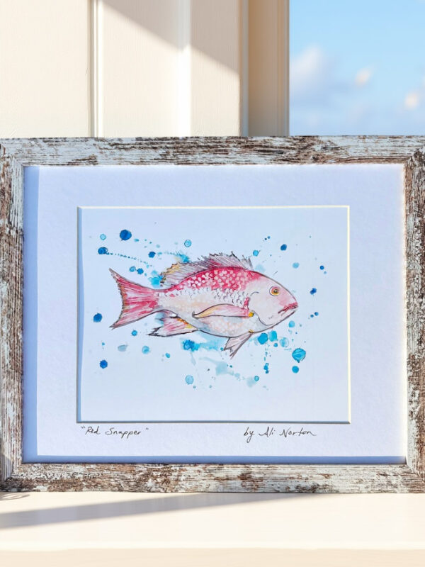 Art Print Red Snapper Watercolor 3 Sizes Matted