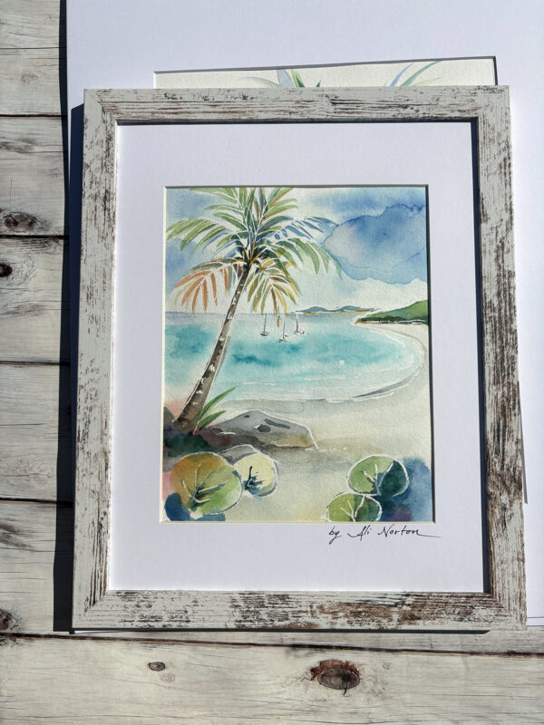 Ali Norton Original St. John Watercolor Beach with Rocks